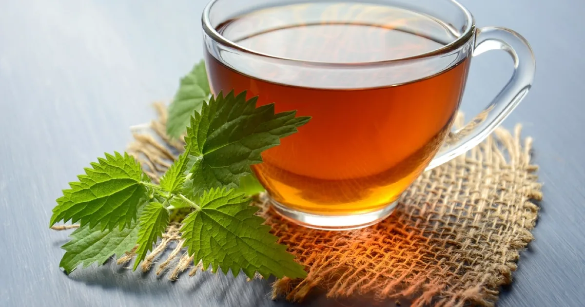 Tasse en verre de tisane chaude sur une toile de jute, feuilles fraîches à côté
