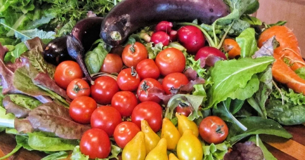 Panier de légumes frais et colorés (tomates, aubergines, carottes, salades) illustrant une alimentation favorable à la santé du foie