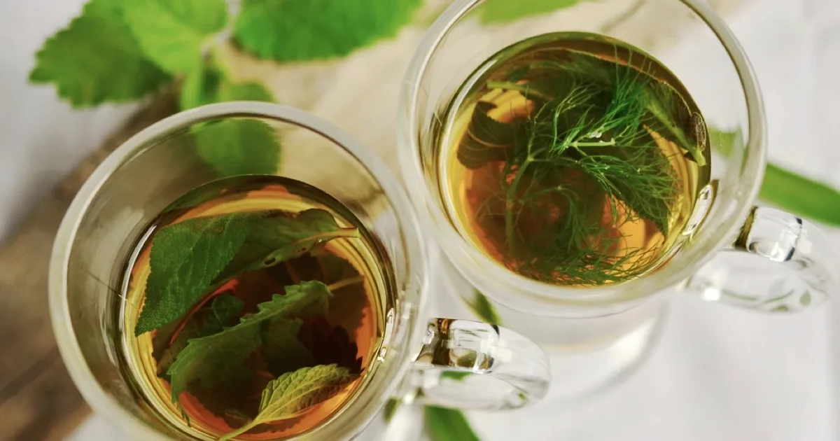 Deux tasses en verre d'infusion à la menthe et au fenouil, feuilles fraîches à côté